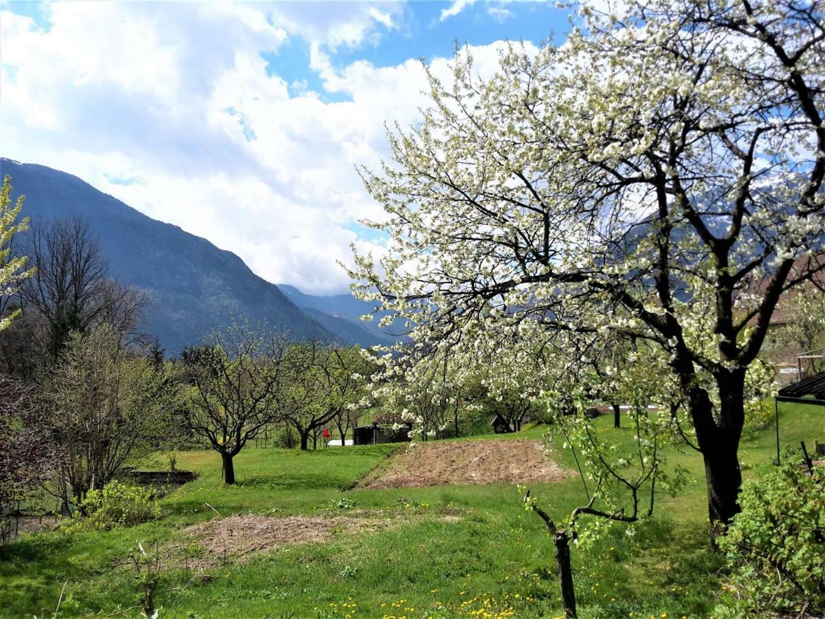 Bovec Holiday House Экстерьер фото